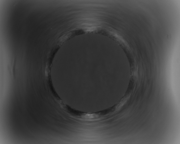 X0000087530277200705251706