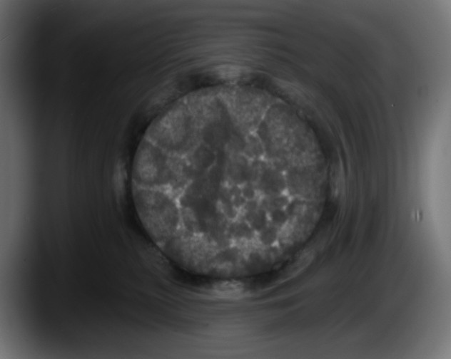 X0000087530279200705251706