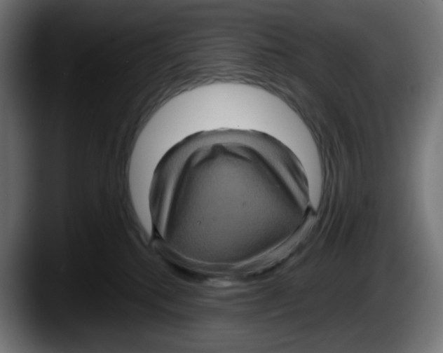 X0000087530280200705251706