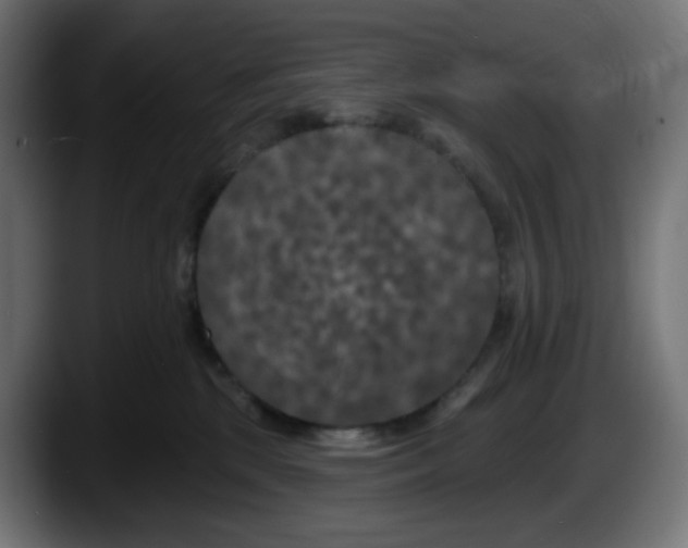 X0000087530281200705251706