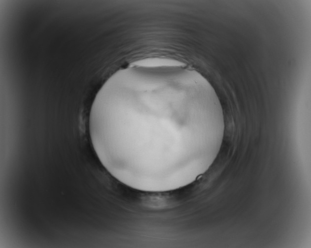X0000087530282200705251706