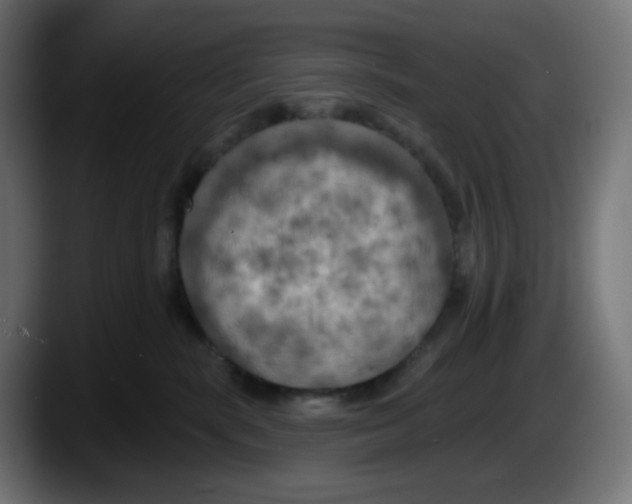 X0000087530283200705251706