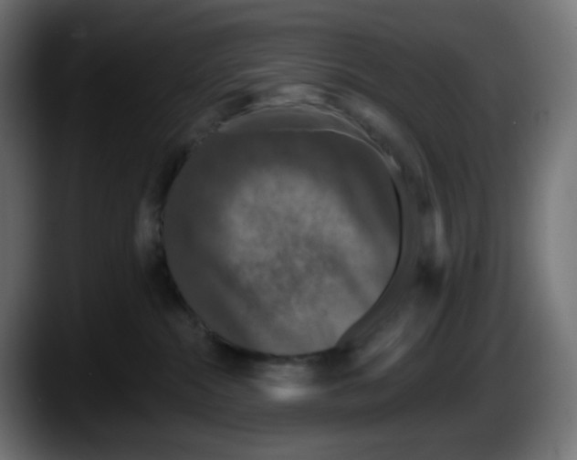 X0000087530284200705251706