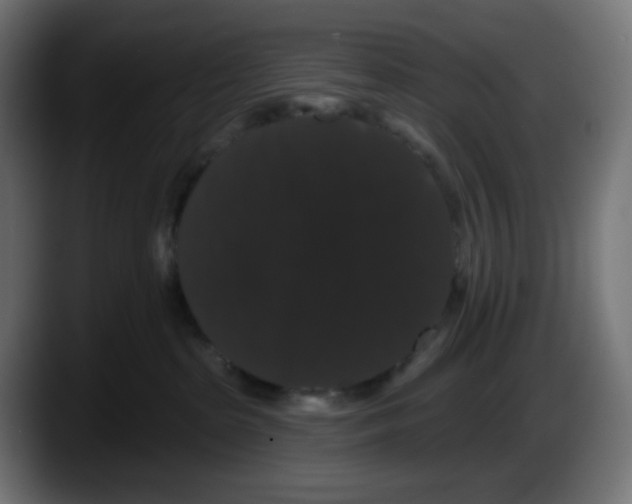 X0000087530285200705251706