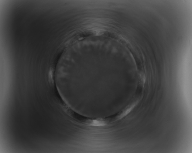 X0000087530286200705251706