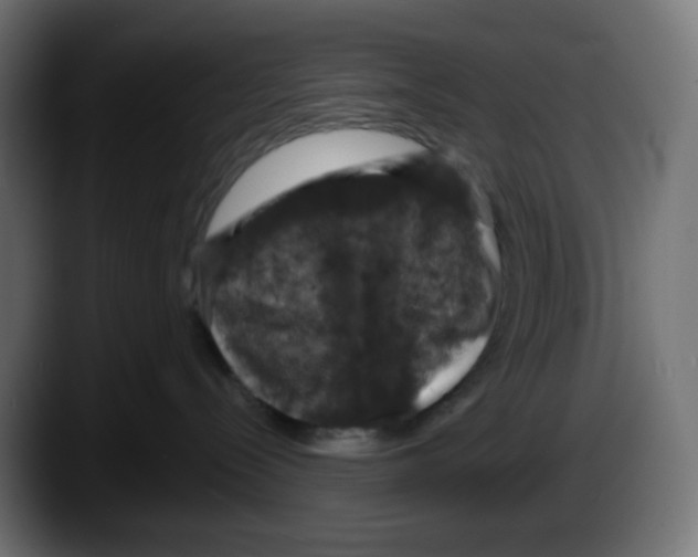 X0000087530288200705251706