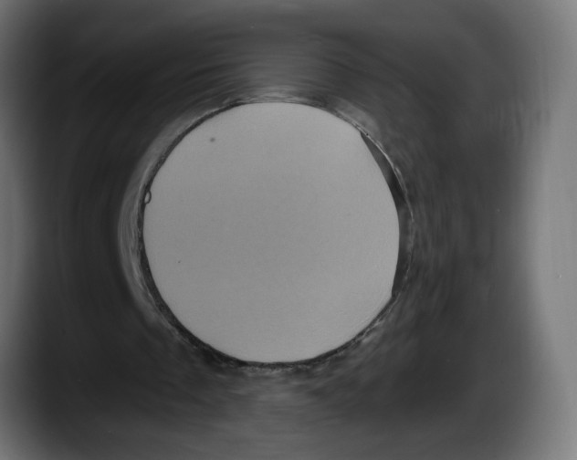 X0000087530289200705251705