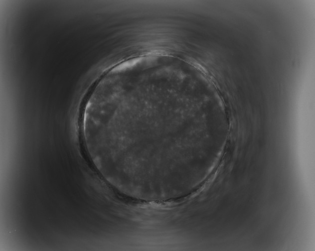 X0000087530290200705251705
