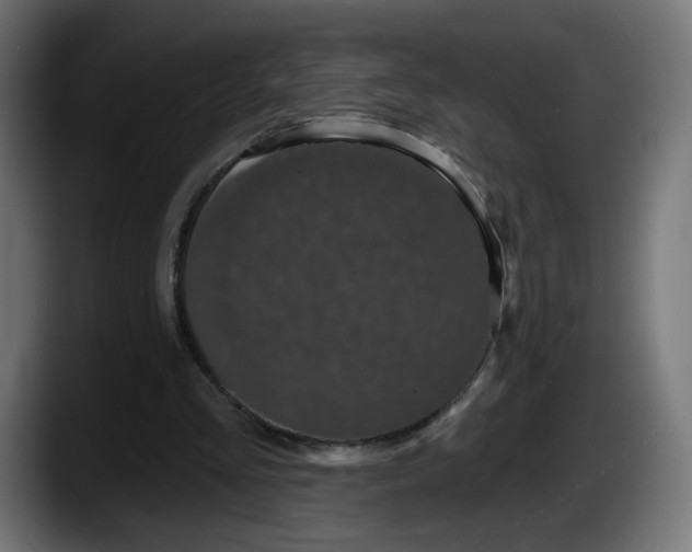 X0000087530293200705251705