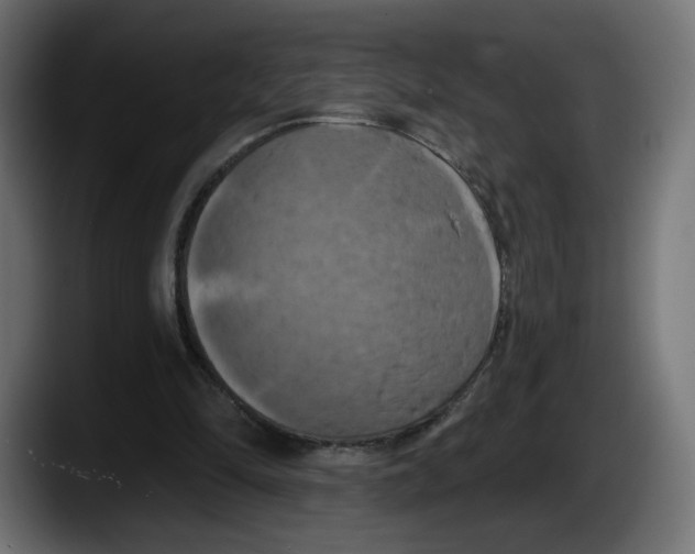 X0000087530294200705251705