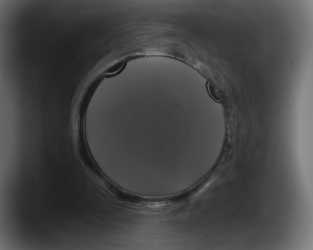 X0000087530295200705251705