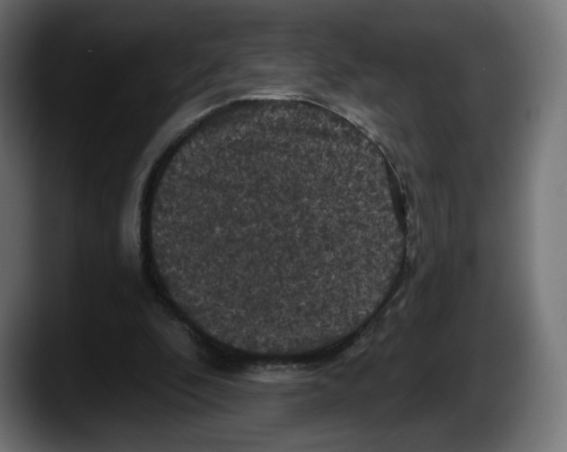 X0000087530296200705251705