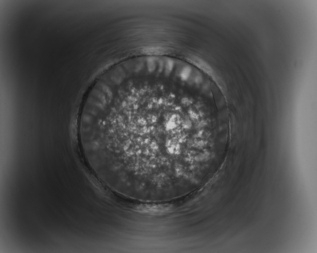 X0000087530297200705251705