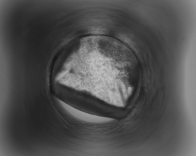 X0000087530299200705251705