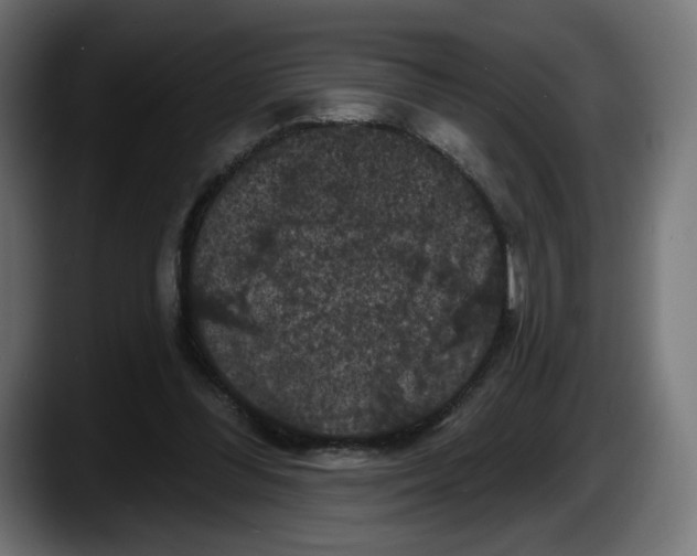 X0000087530300200705251705
