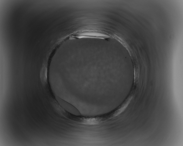 X0000087530301200705251705