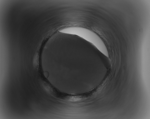 X0000087530303200705251705