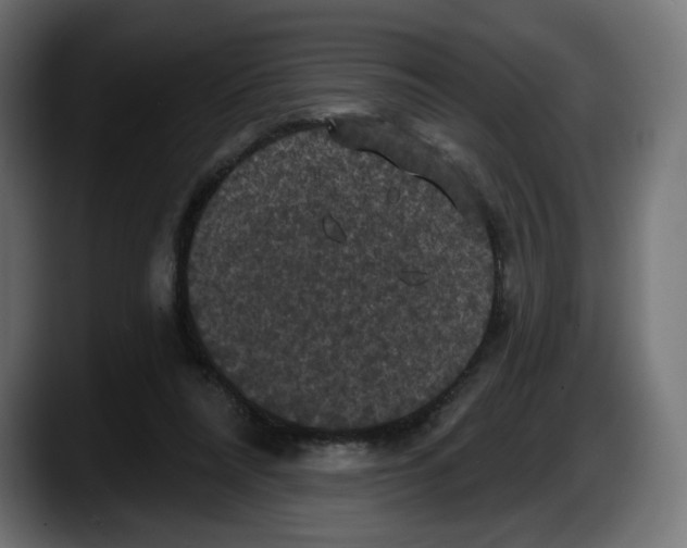 X0000087530304200705251705