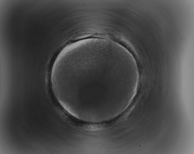 X0000087530305200705251705