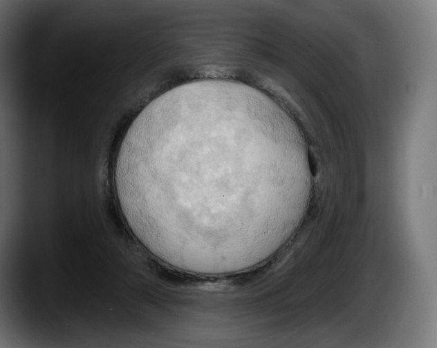 X0000087530306200705251705
