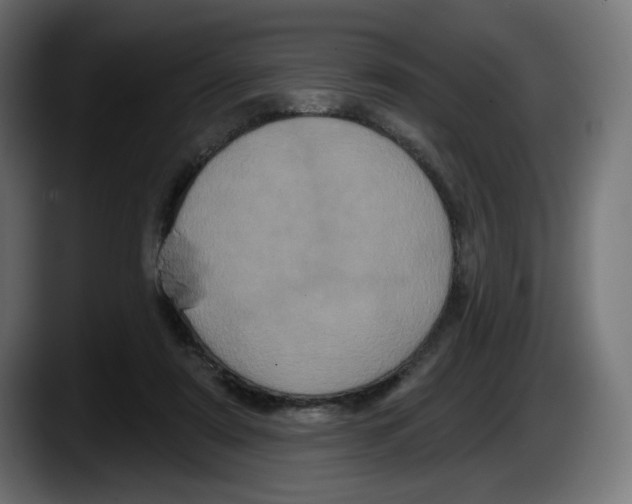 X0000087530307200705251705