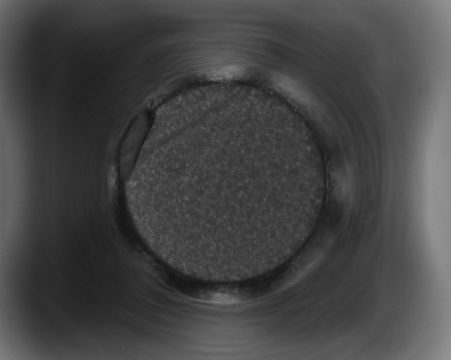 X0000087530308200705251705