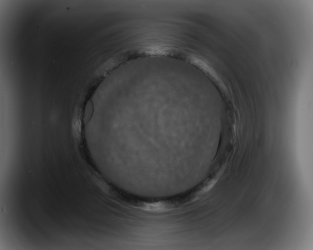 X0000087530309200705251705