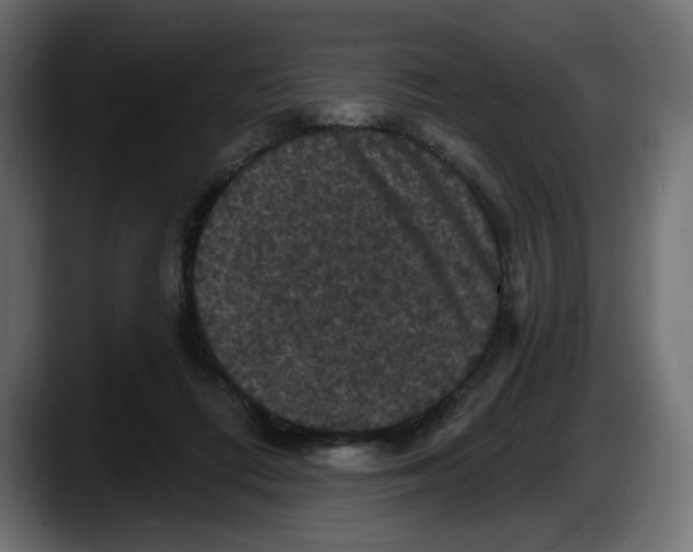 X0000087530312200705251705