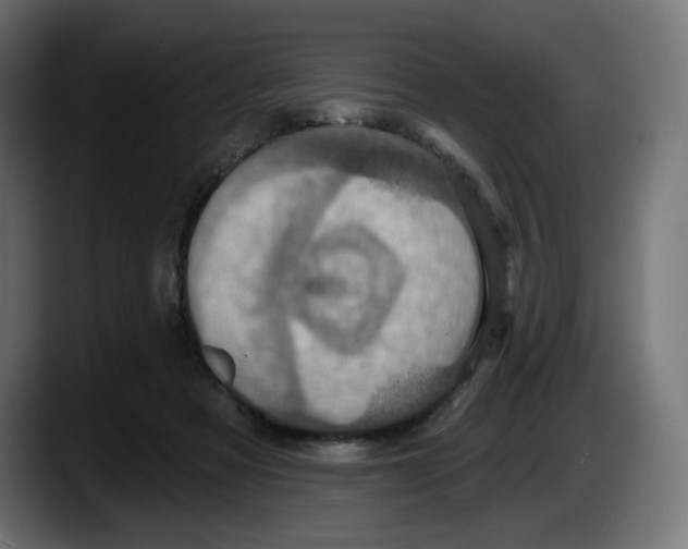 X0000087530313200705251705