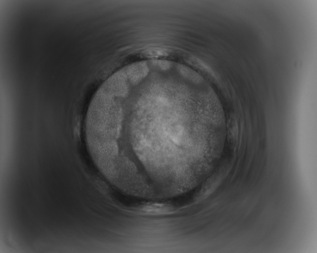 X0000087530315200705251705
