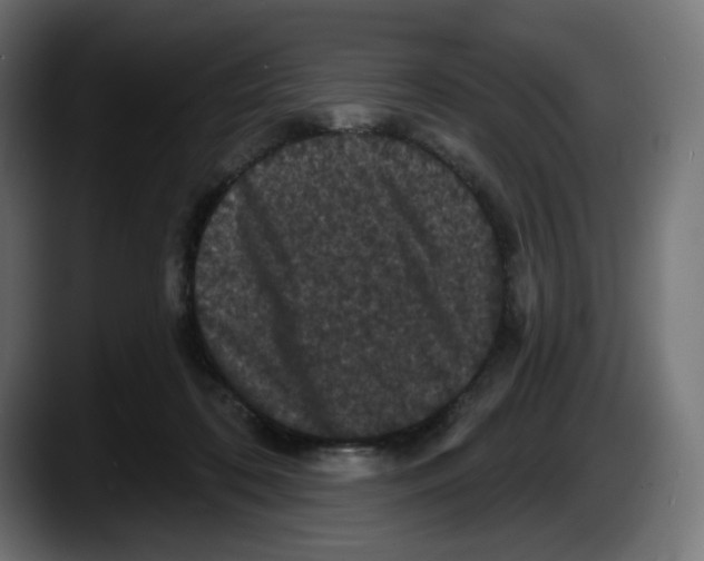 X0000087530316200705251705