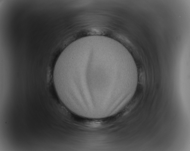 X0000087530318200705251705