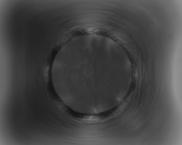 X0000087530319200705251705