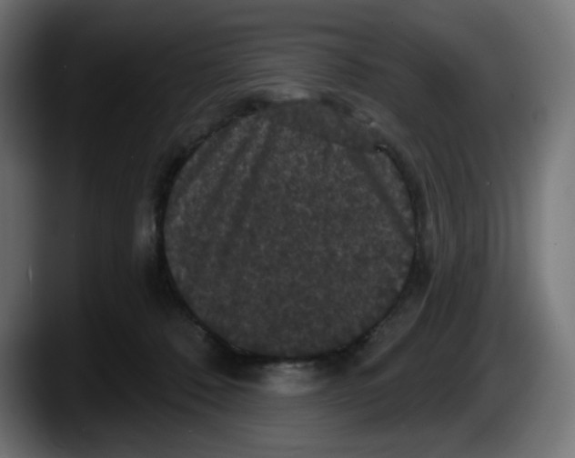 X0000087530320200705251705
