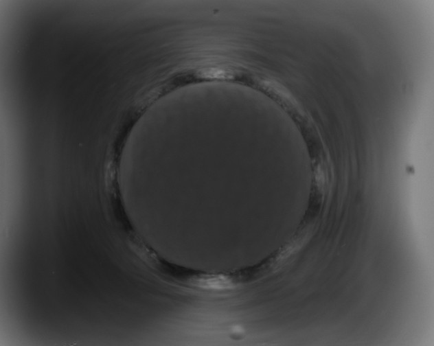 X0000087530322200705251705
