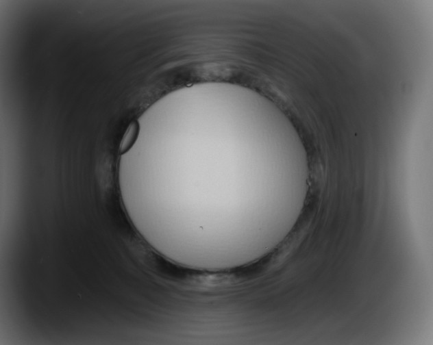 X0000087530323200705251705