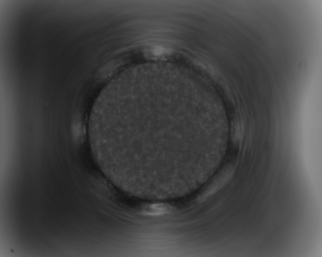 X0000087530324200705251705
