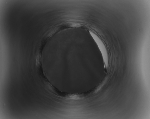 X0000087530325200705251705