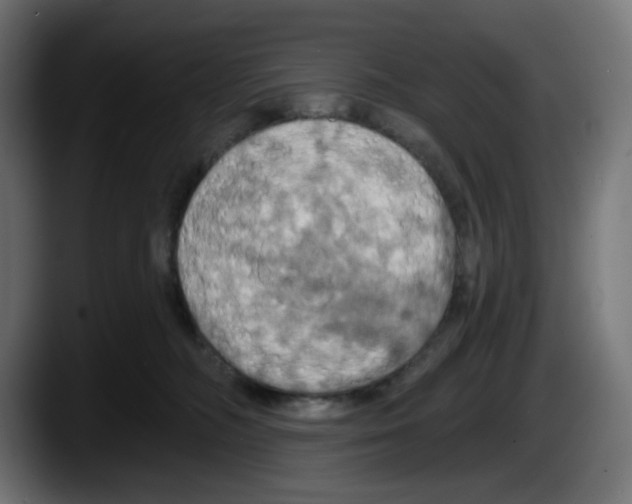 X0000087530326200705251705