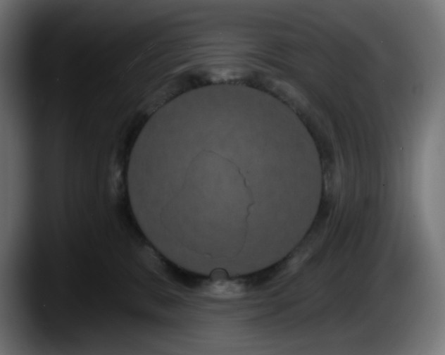 X0000087530327200705251705