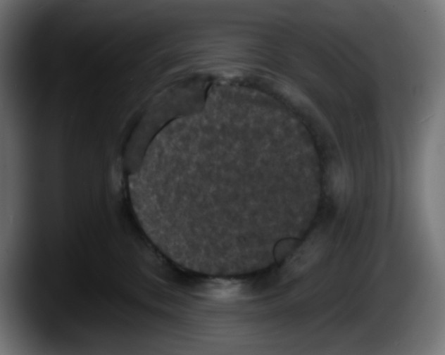 X0000087530328200705251705