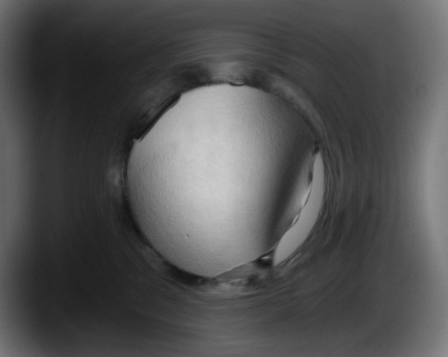 X0000087530329200705251705