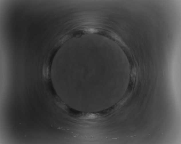 X0000087530330200705251705