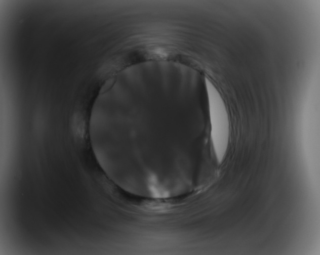 X0000087530331200705251705