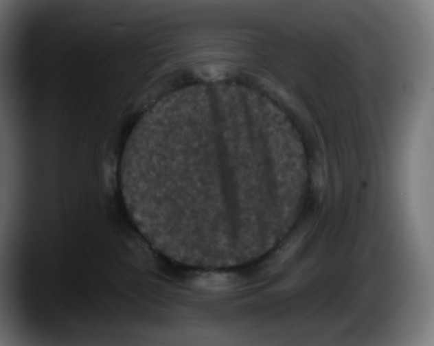 X0000087530332200705251705