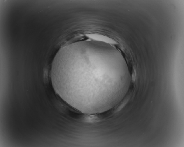 X0000087530333200705251705