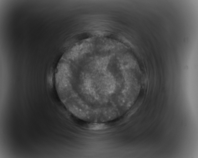 X0000087530334200705251705