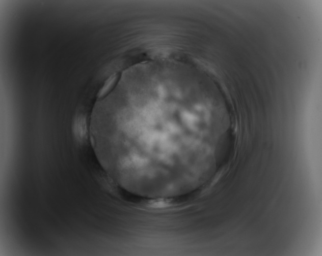 X0000087530335200705251705