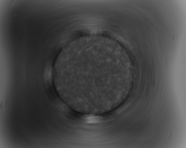 X0000087530336200705251704