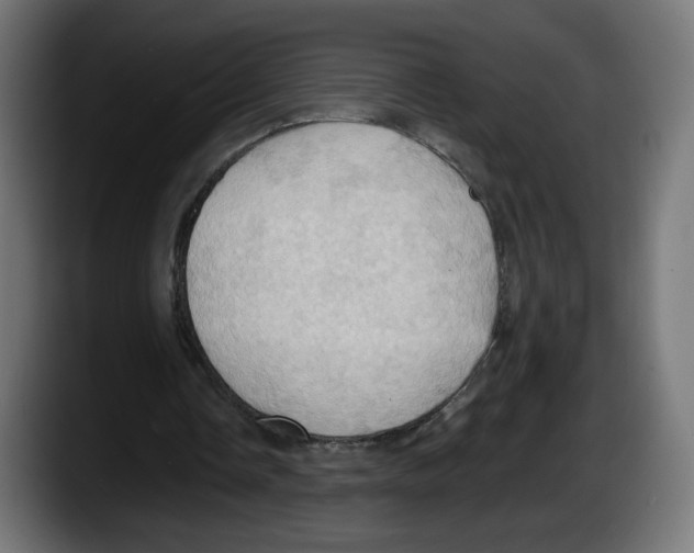 X0000087530338200705251704